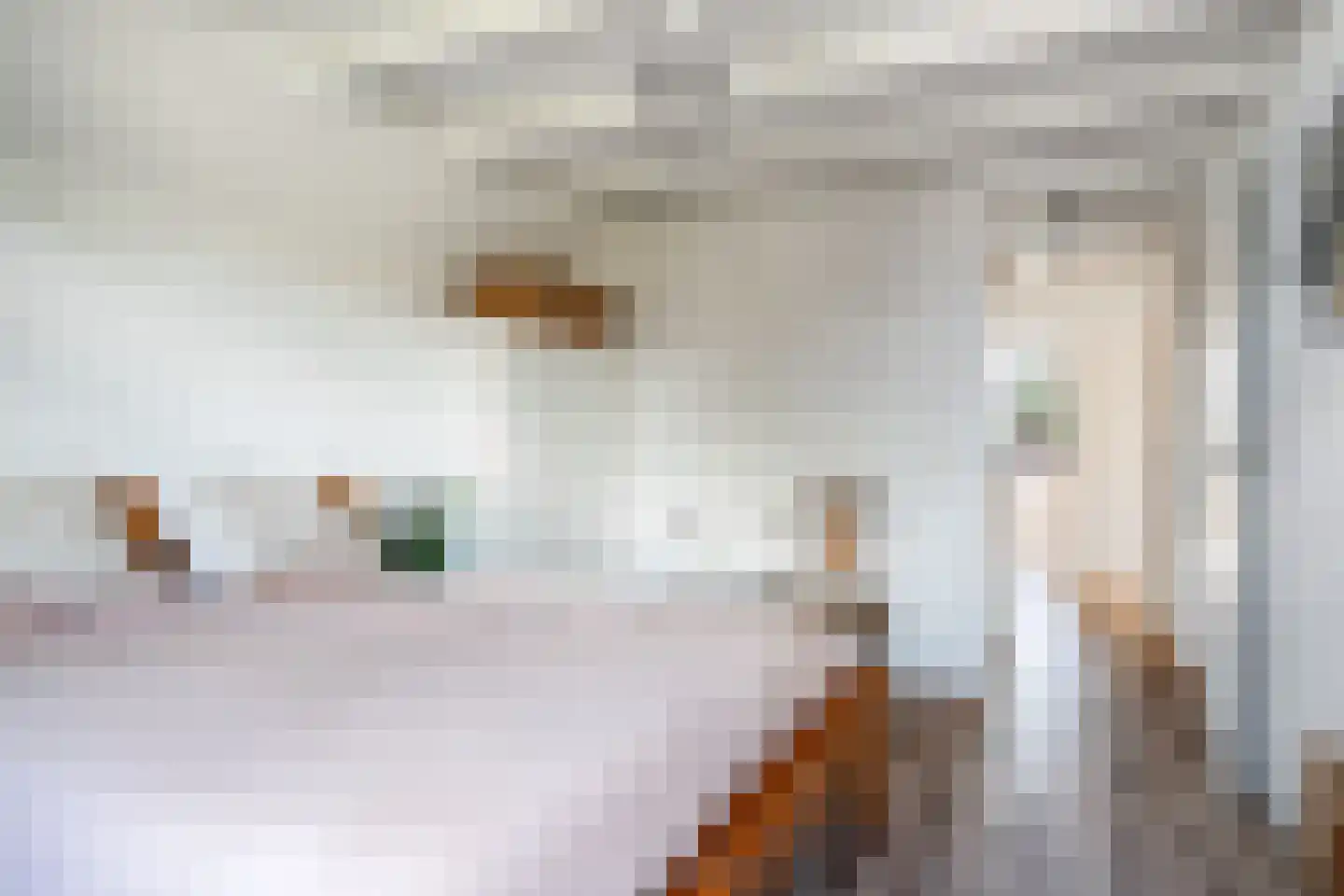 Lyts Blijema 12 Grou thumbnail 23