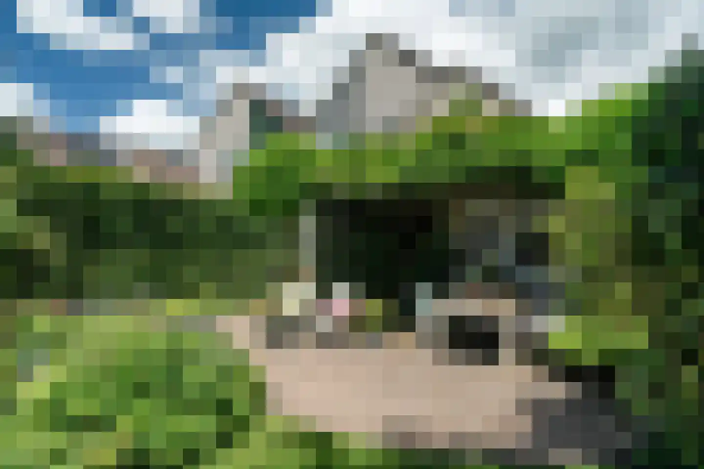 Lyts Blijema 12 Grou thumbnail 34