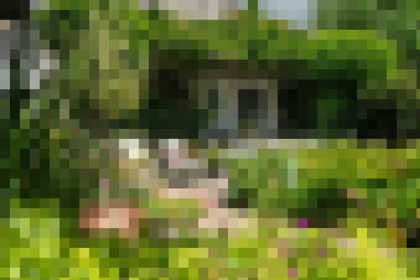 Lyts Blijema 12 Grou thumbnail 35