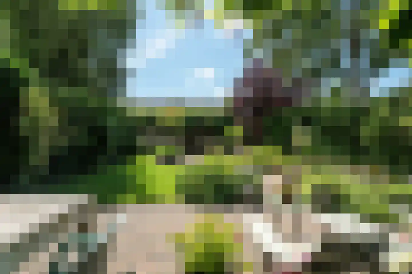 Lyts Blijema 12 Grou thumbnail 36