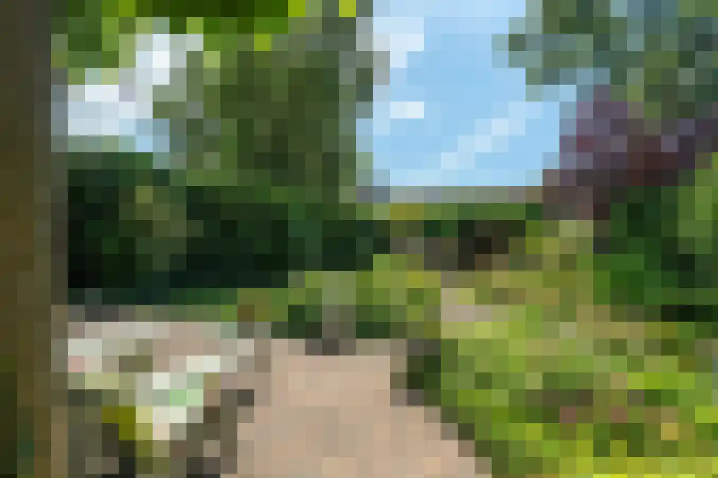 Lyts Blijema 12 Grou thumbnail 37