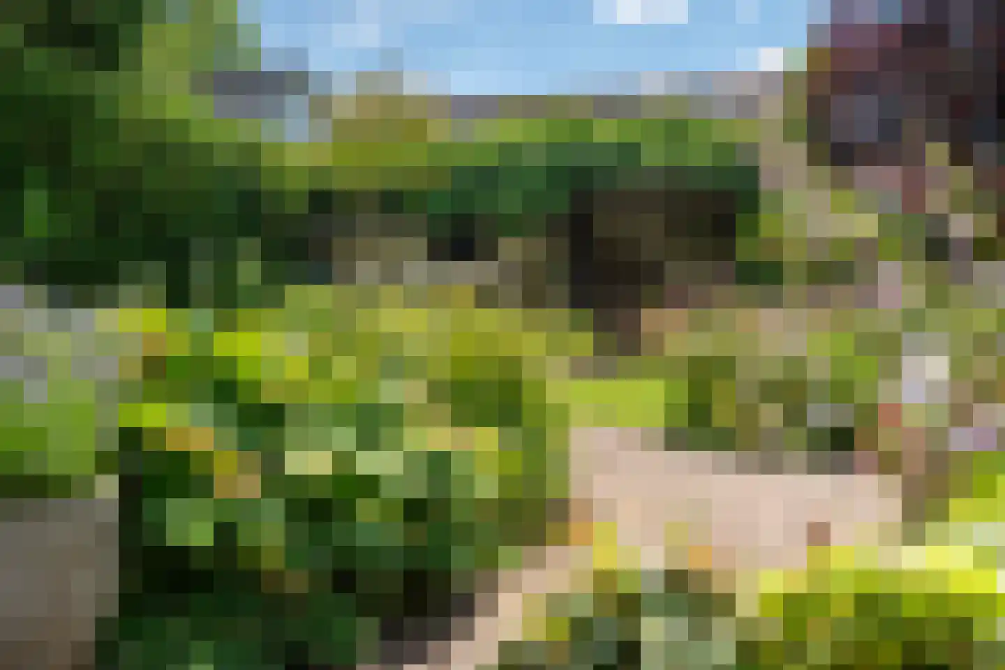 Lyts Blijema 12 Grou thumbnail 39