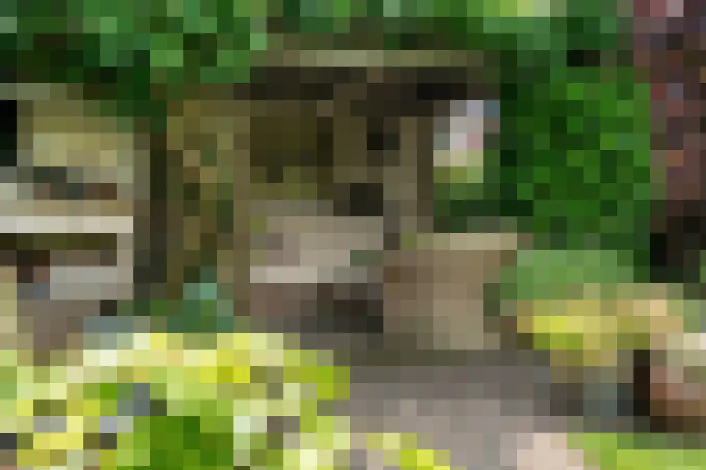 Lyts Blijema 12 Grou thumbnail 40