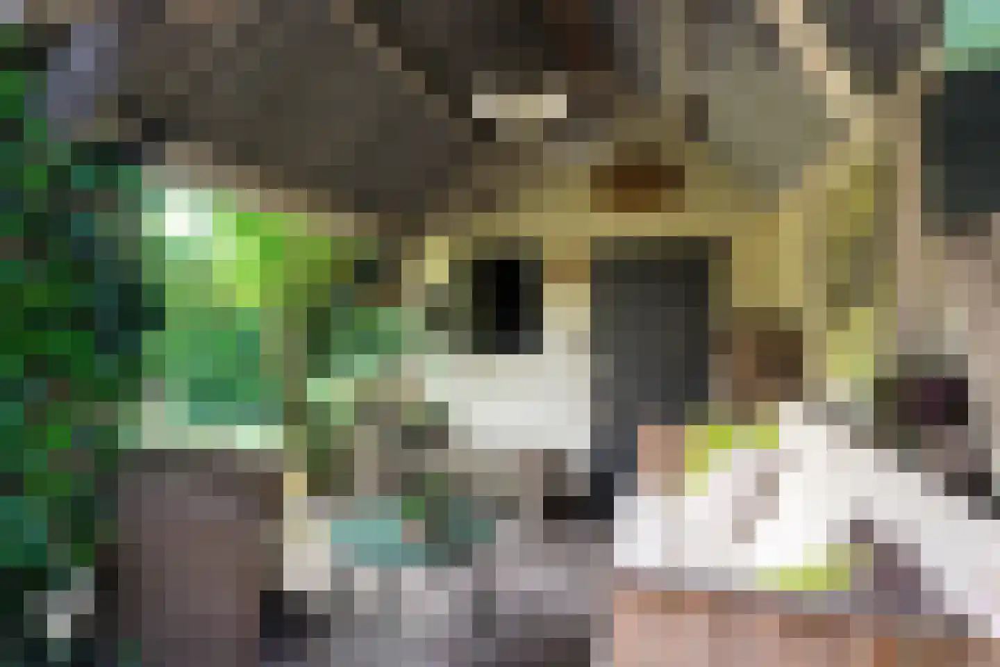 Lyts Blijema 12 Grou thumbnail 41