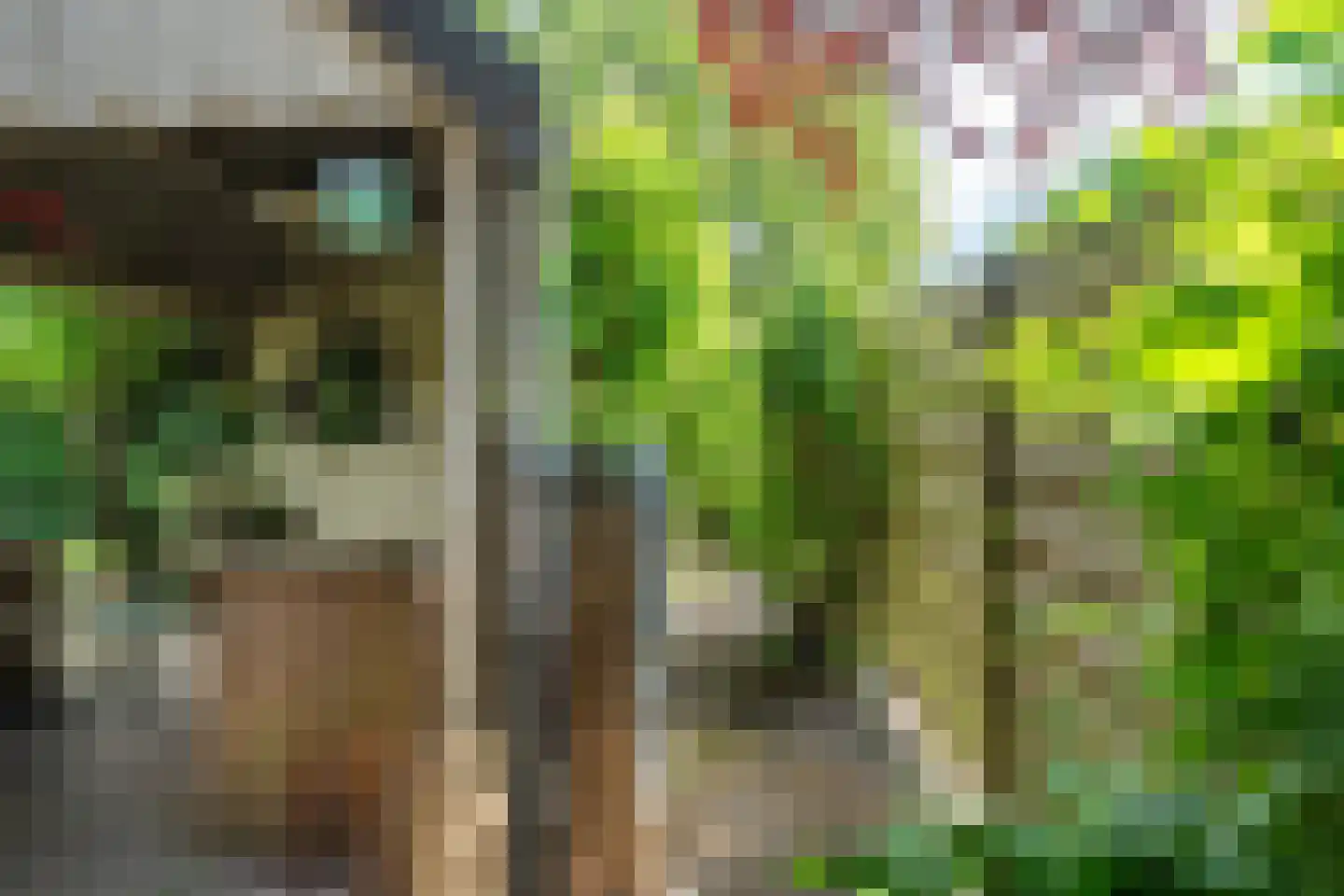 Lyts Blijema 12 Grou thumbnail 43