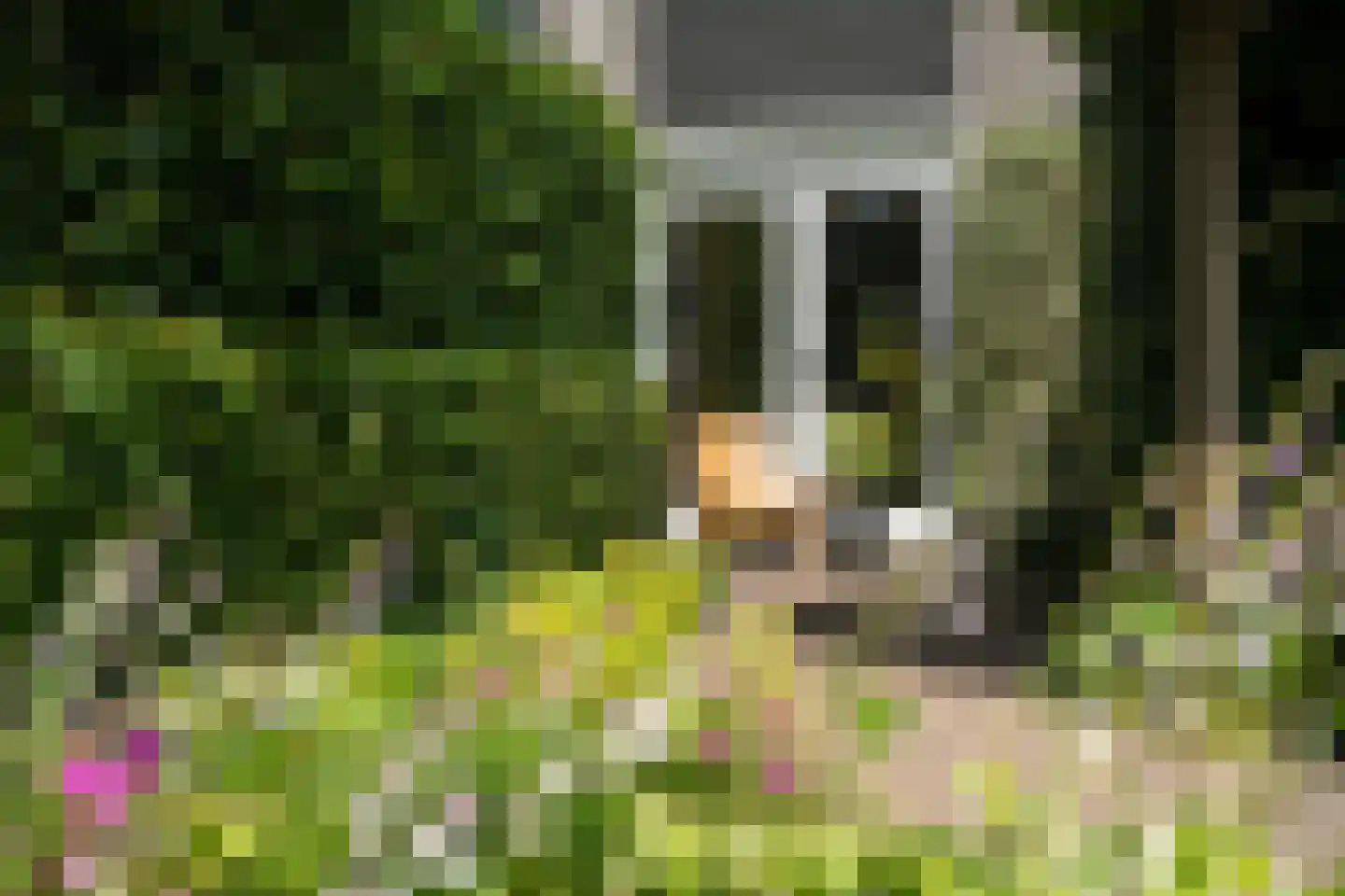 Lyts Blijema 12 Grou thumbnail 44
