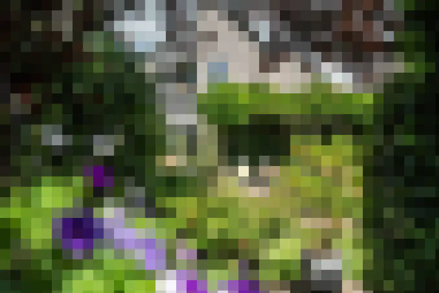 Lyts Blijema 12 Grou thumbnail 45
