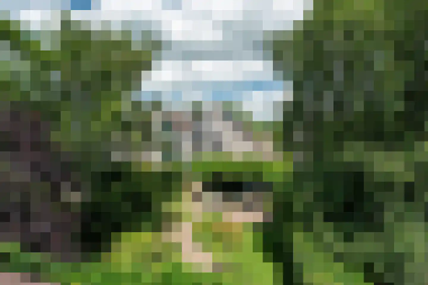 Lyts Blijema 12 Grou thumbnail 46