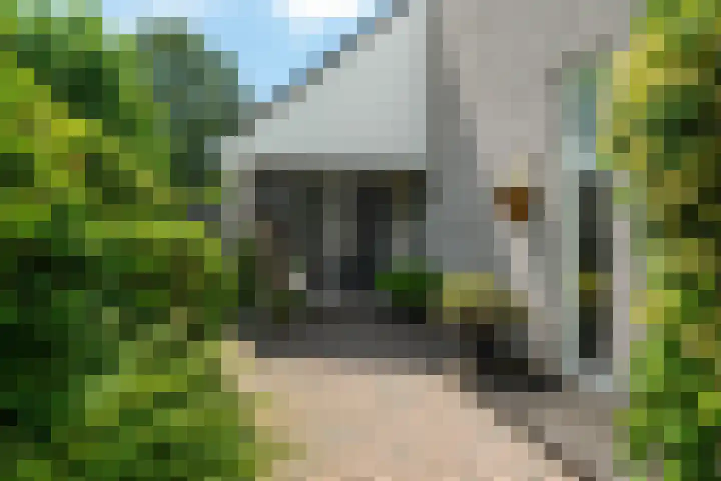 Lyts Blijema 12 Grou thumbnail 48