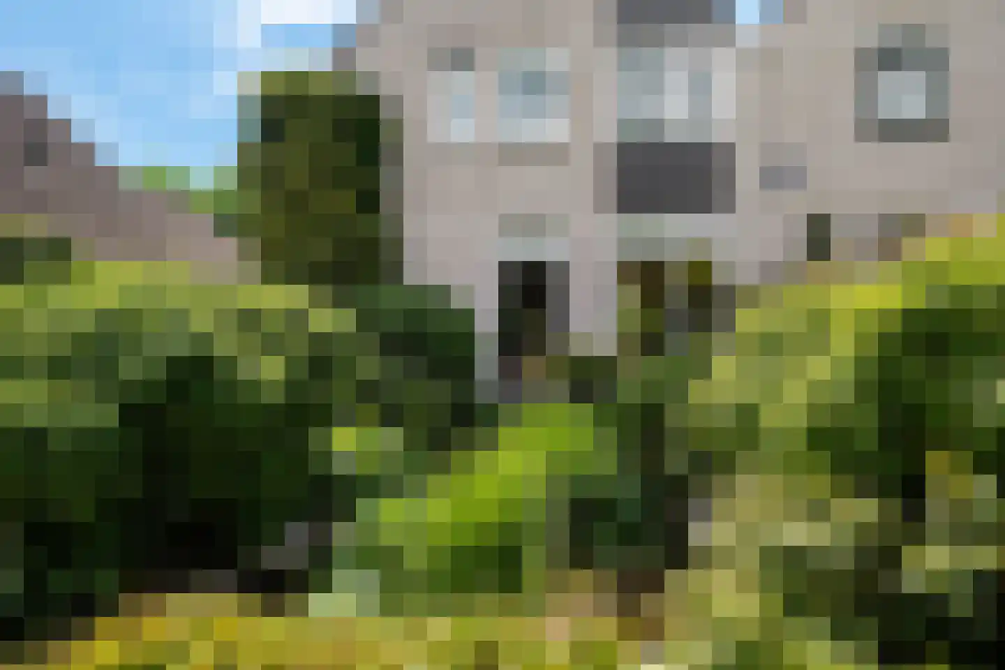 Lyts Blijema 12 Grou thumbnail 50