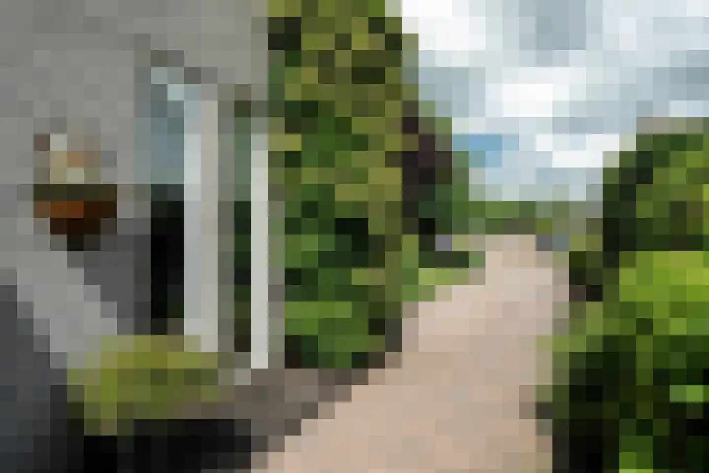 Lyts Blijema 12 Grou thumbnail 52