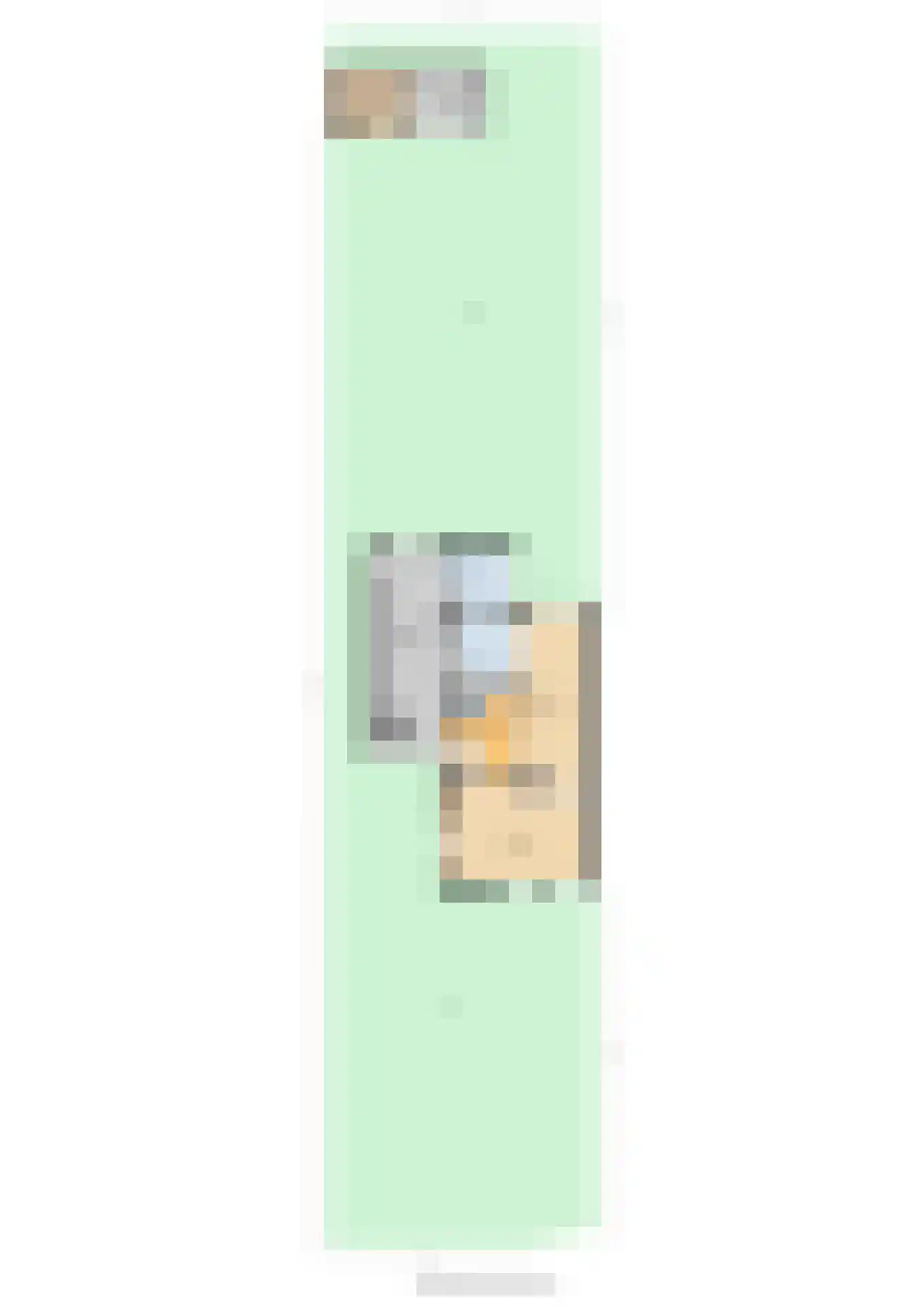 Lyts Blijema 12 Grou thumbnail 59