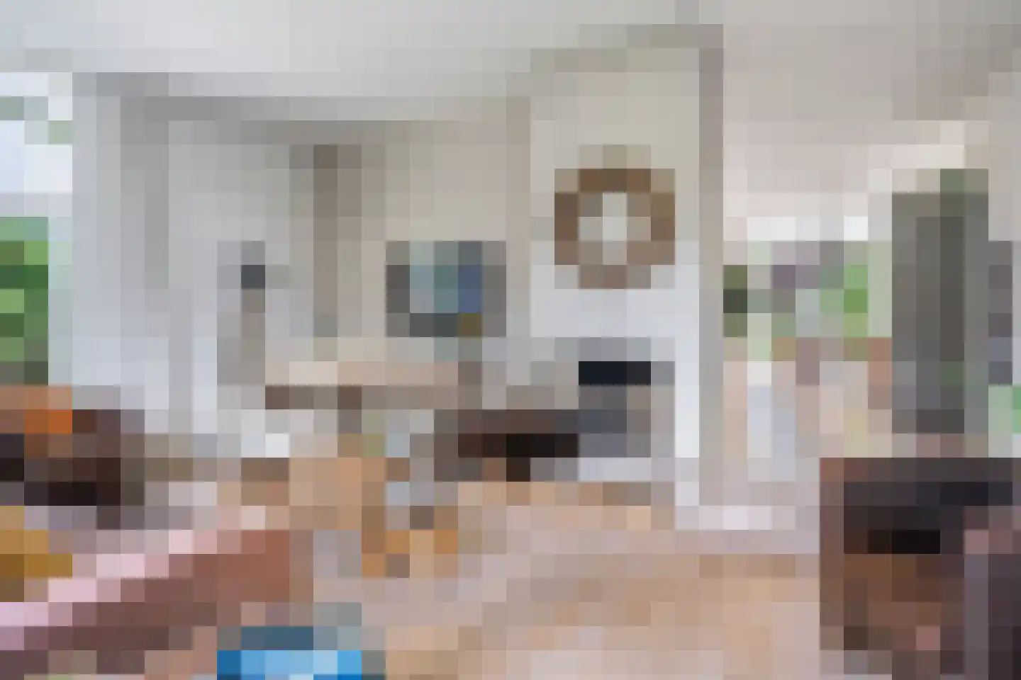 Lyts Blijema 12 Grou thumbnail 8