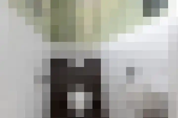 Lyts Dykje 3 a Langweer thumbnail 14