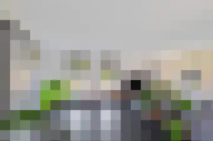 Lyts Dykje 3 a Langweer thumbnail 18