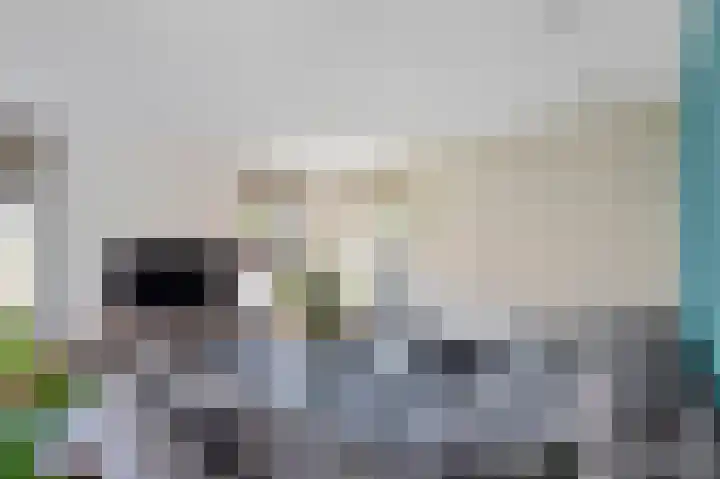 Lyts Dykje 3 a Langweer thumbnail 19