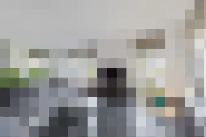 Lyts Dykje 3 a Langweer thumbnail 23