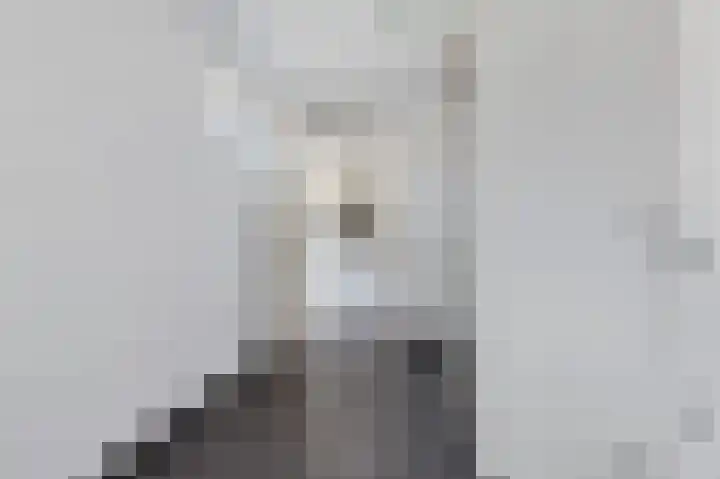 Lyts Dykje 3 a Langweer thumbnail 30
