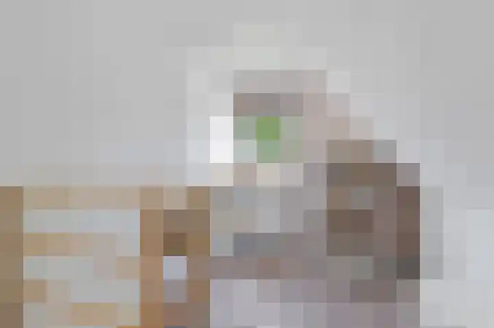 Lyts Dykje 3 a Langweer thumbnail 44