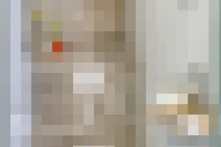 Lytse Buorren 14 Sumar thumbnail 11