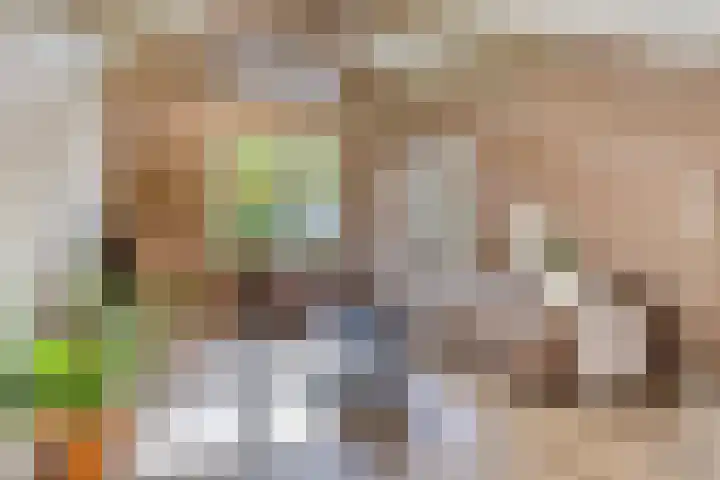 Lytse Buorren 14 Sumar thumbnail 13