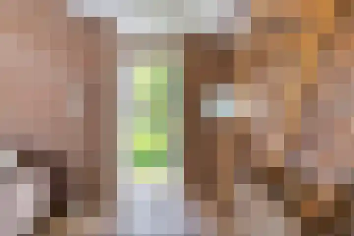 Lytse Buorren 14 Sumar thumbnail 16