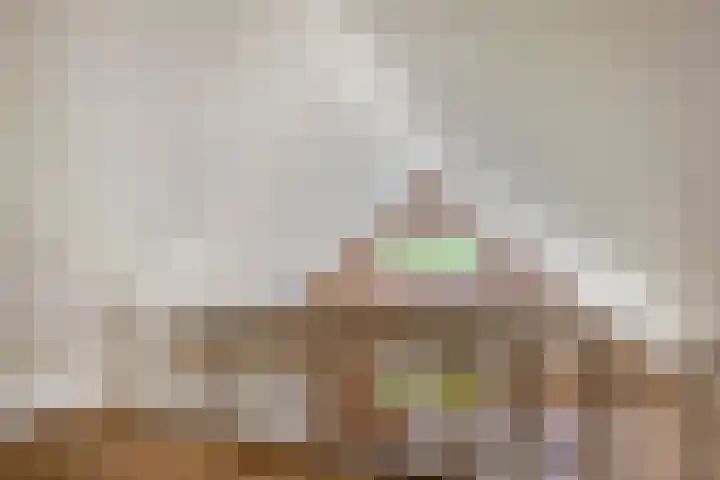 Lytse Buorren 14 Sumar thumbnail 17