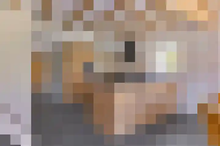 Lytse Buorren 14 Sumar thumbnail 21
