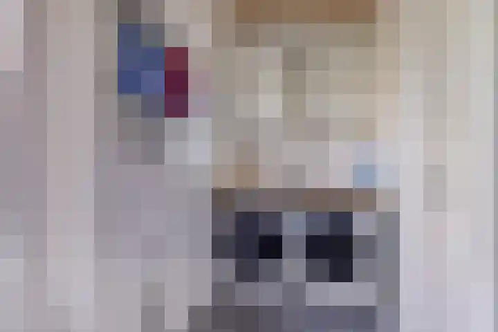 Lytse Buorren 14 Sumar thumbnail 23