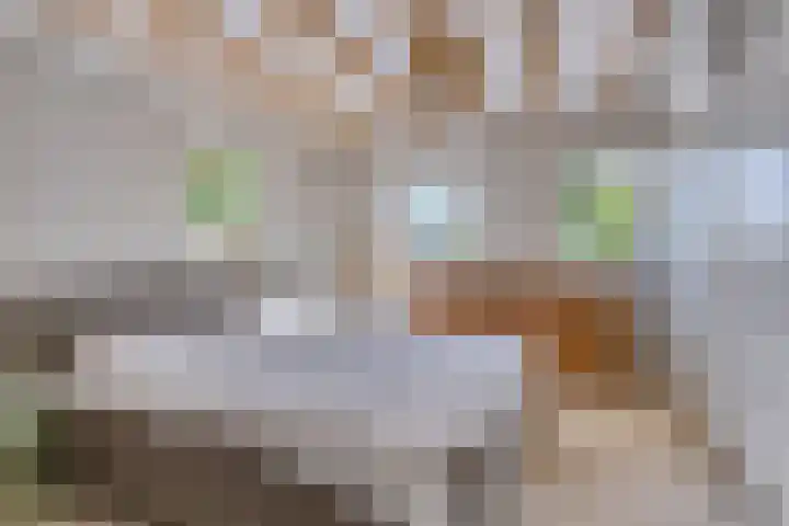 Lytse Buorren 14 Sumar thumbnail 24