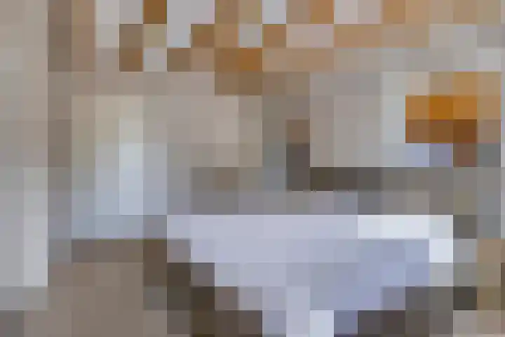 Lytse Buorren 14 Sumar thumbnail 25