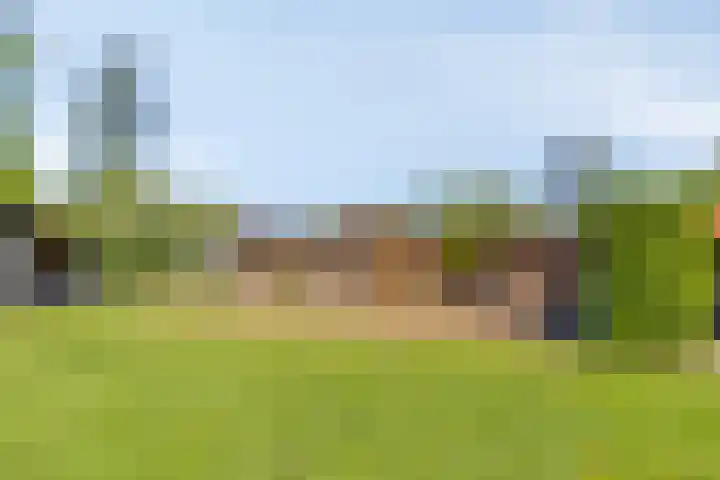 Lytse Buorren 14 Sumar thumbnail 43
