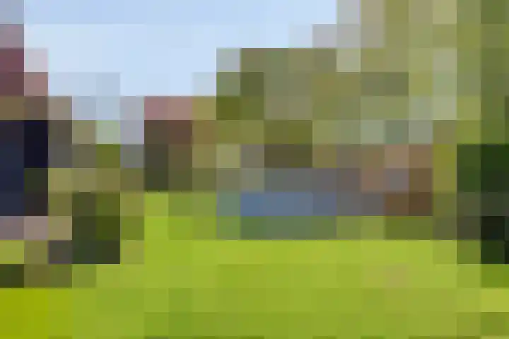 Lytse Buorren 14 Sumar thumbnail 44