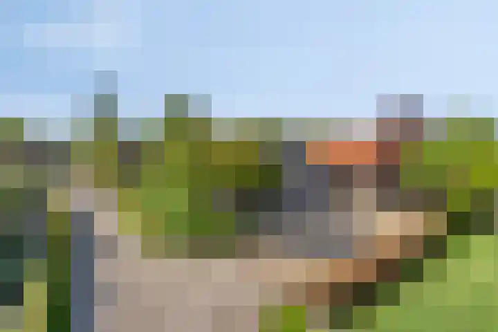 Lytse Buorren 14 Sumar thumbnail 8