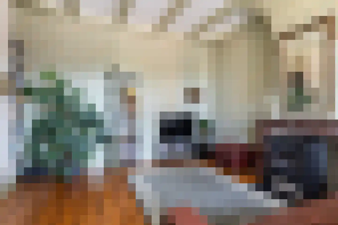 Lytse Buorren 14 Wirdum thumbnail 14