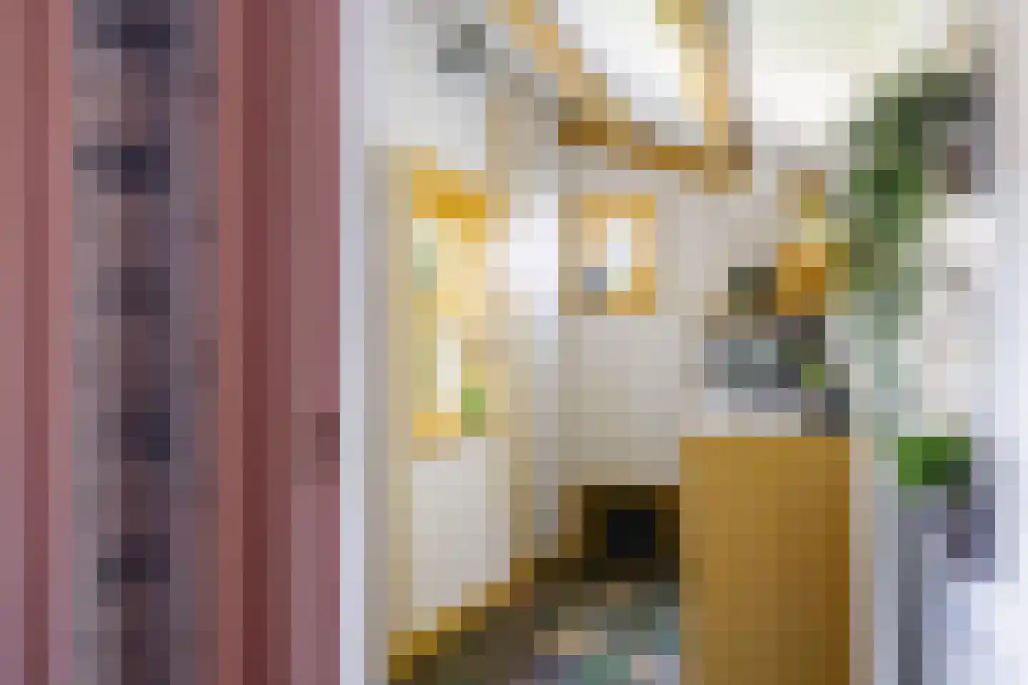 Lytse Buorren 14 Wirdum thumbnail 30