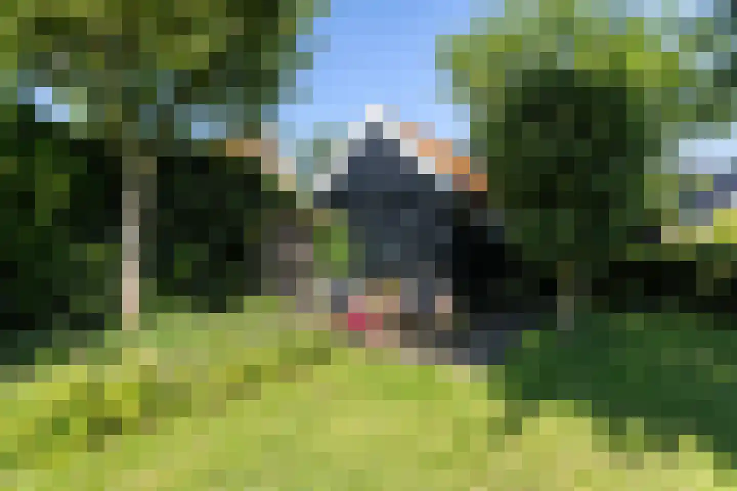 Lytse Buorren 14 Wirdum thumbnail 33
