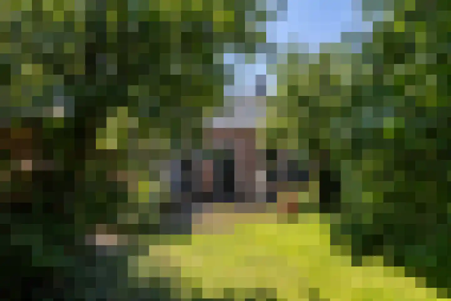 Lytse Buorren 14 Wirdum thumbnail 37