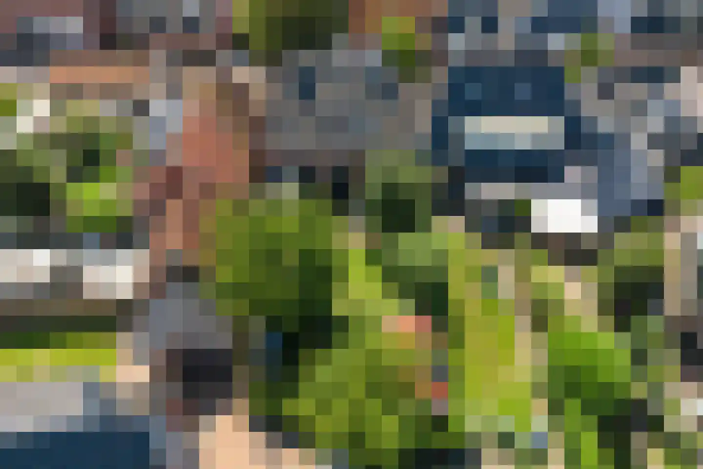 Lytse Buorren 14 Wirdum thumbnail 4