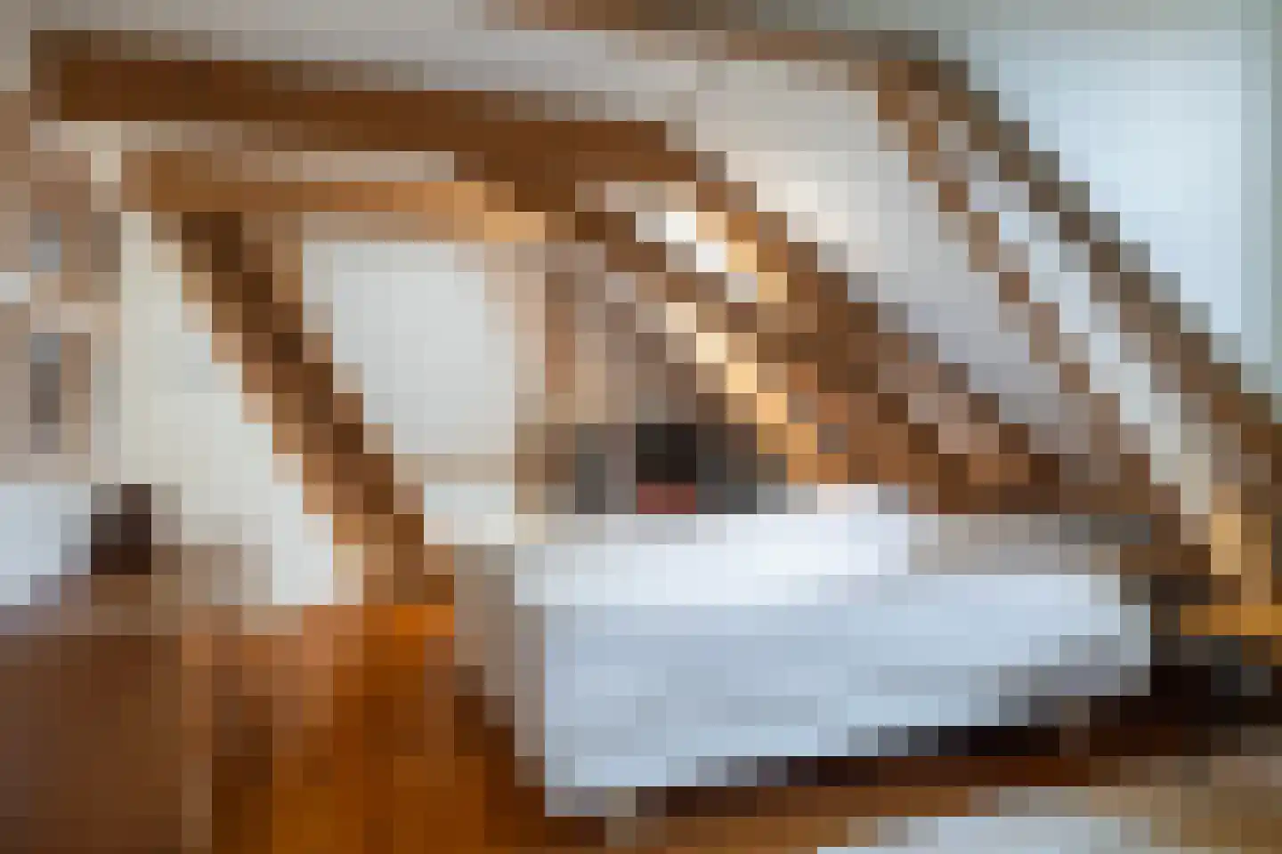 Lytse Buorren 14 Wirdum thumbnail 43