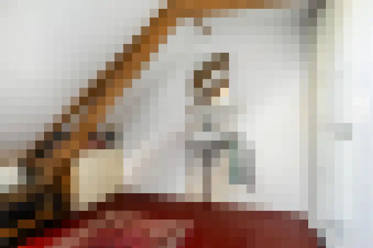 Lytse Buorren 14 Wirdum thumbnail 48