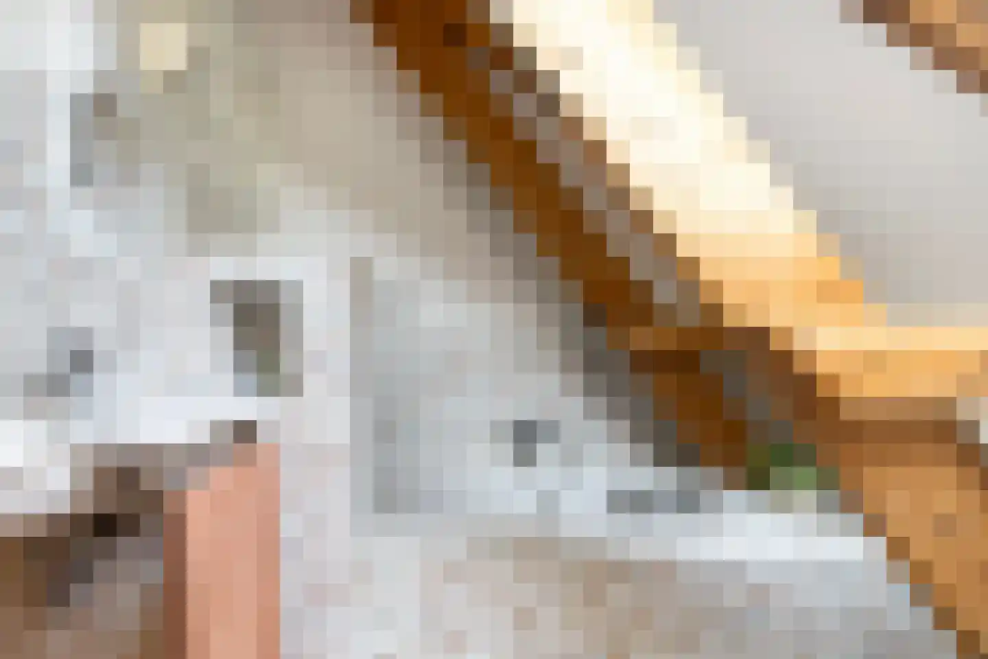 Lytse Buorren 14 Wirdum thumbnail 55