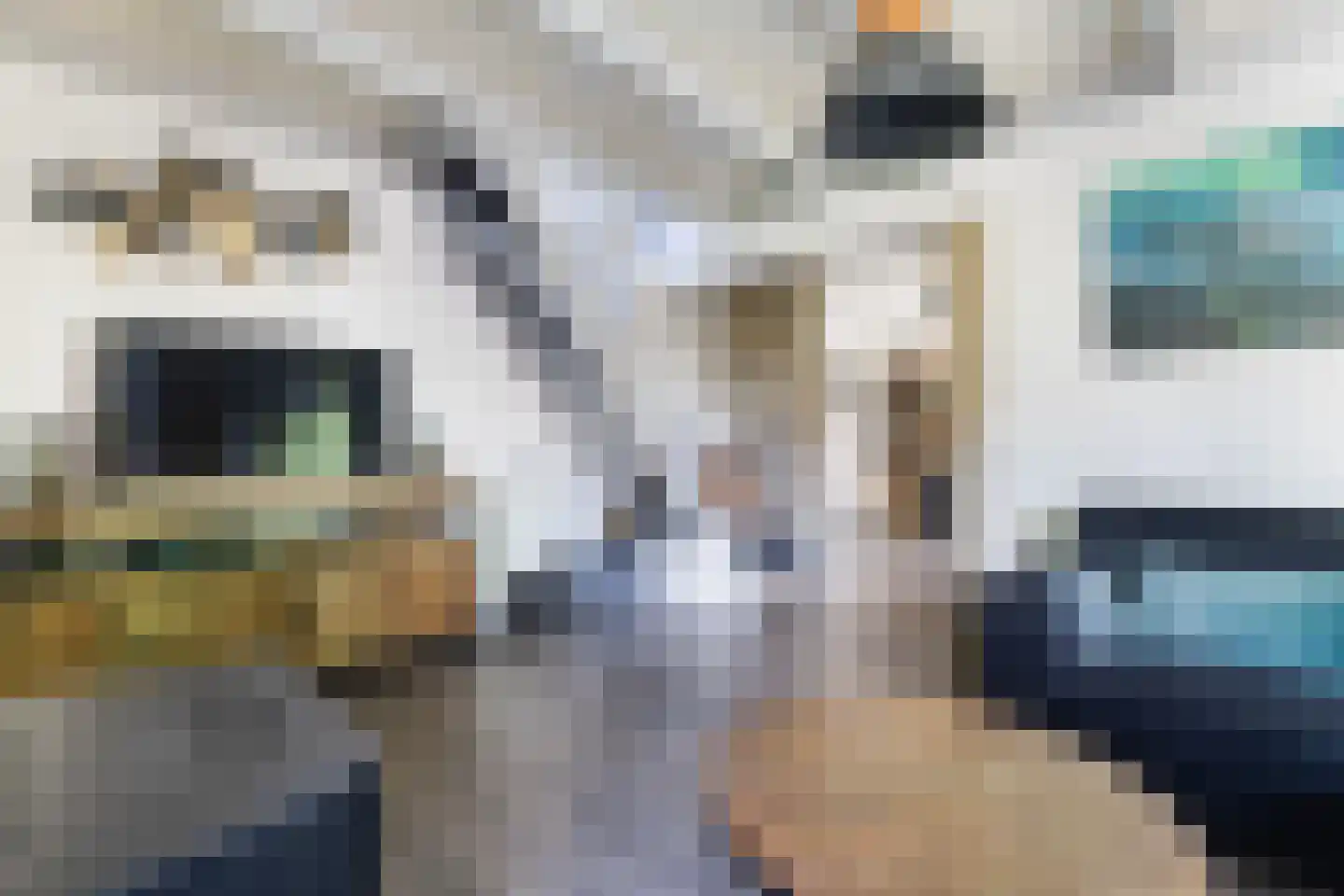 Lytse Buorren 2 Garyp thumbnail 10