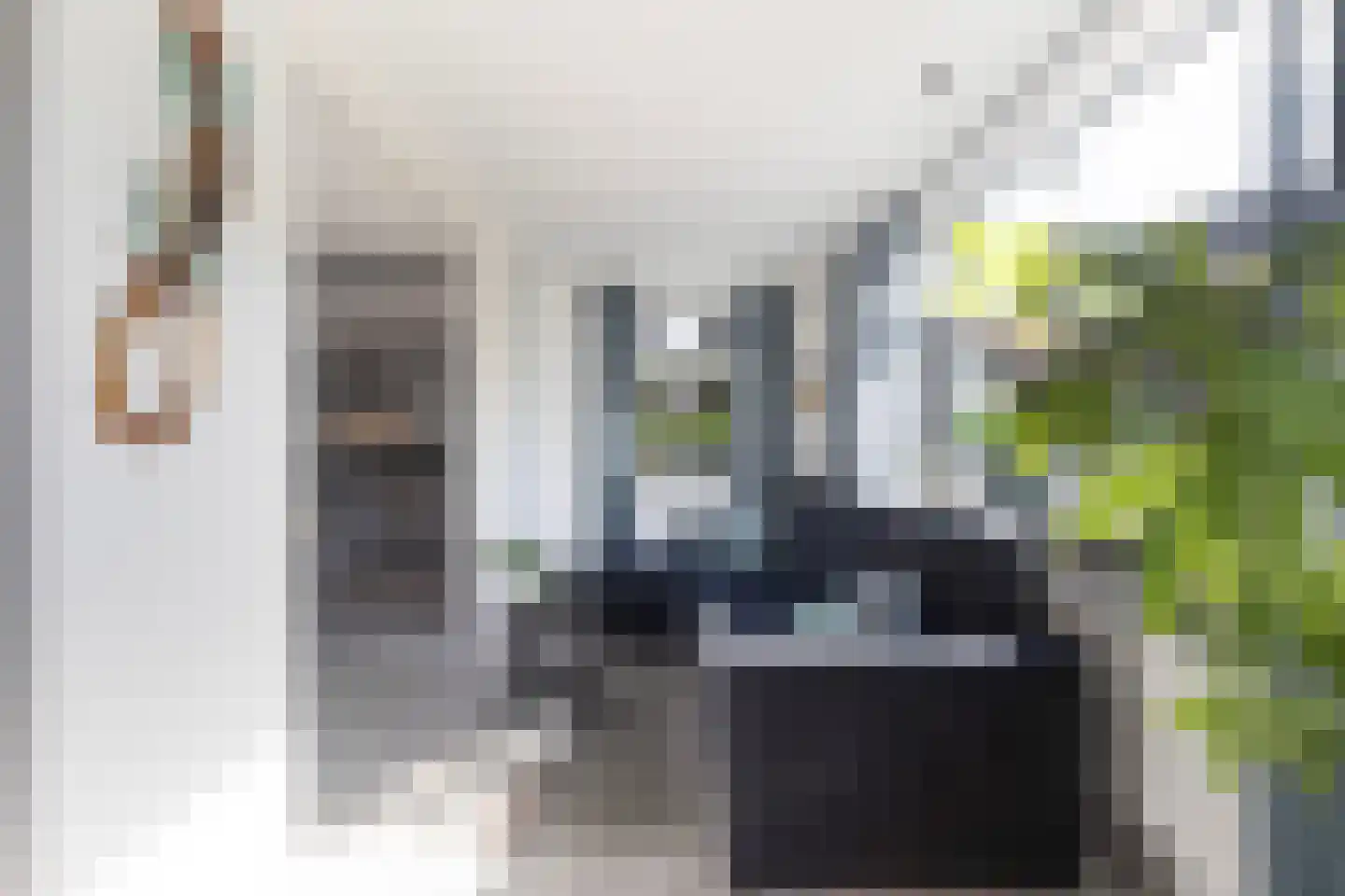 Lytse Buorren 2 Garyp thumbnail 15