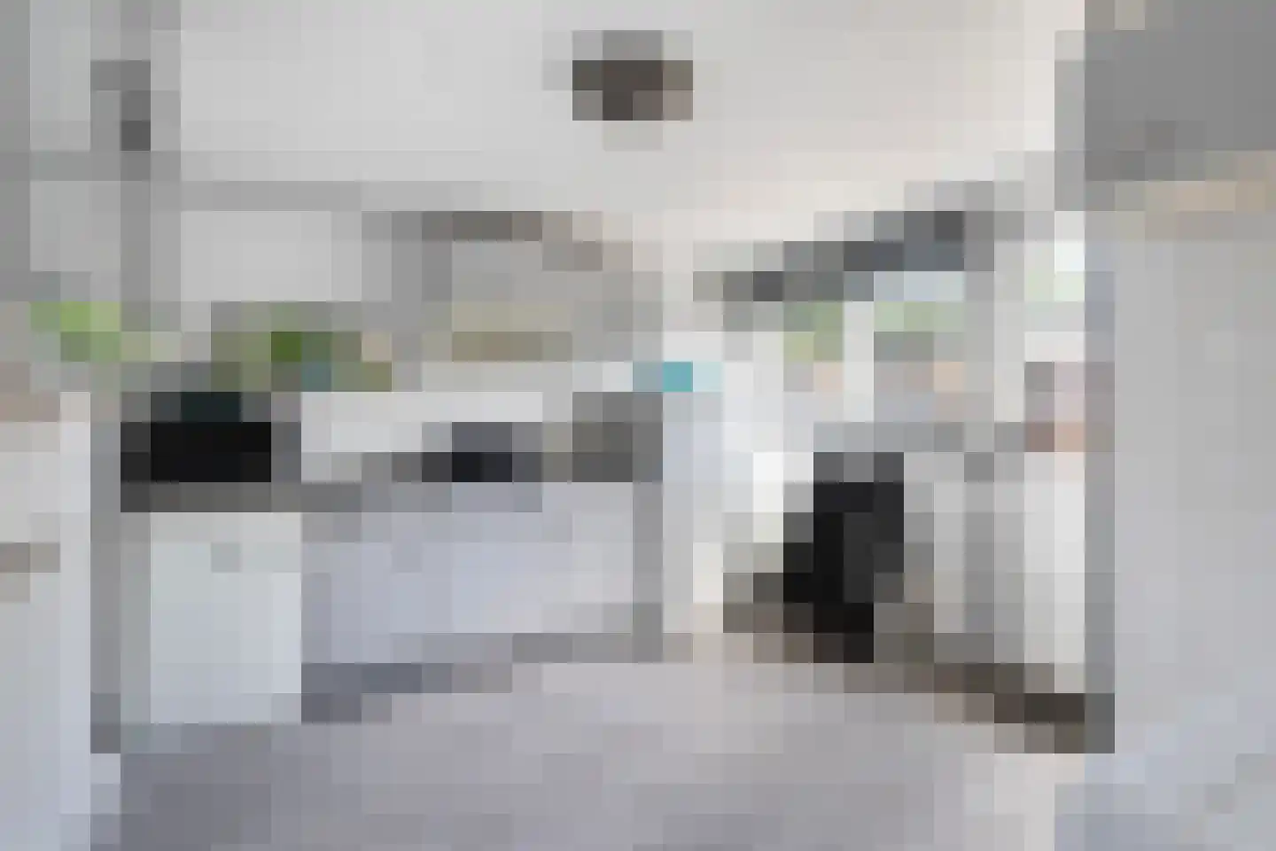 Lytse Buorren 2 Garyp thumbnail 23