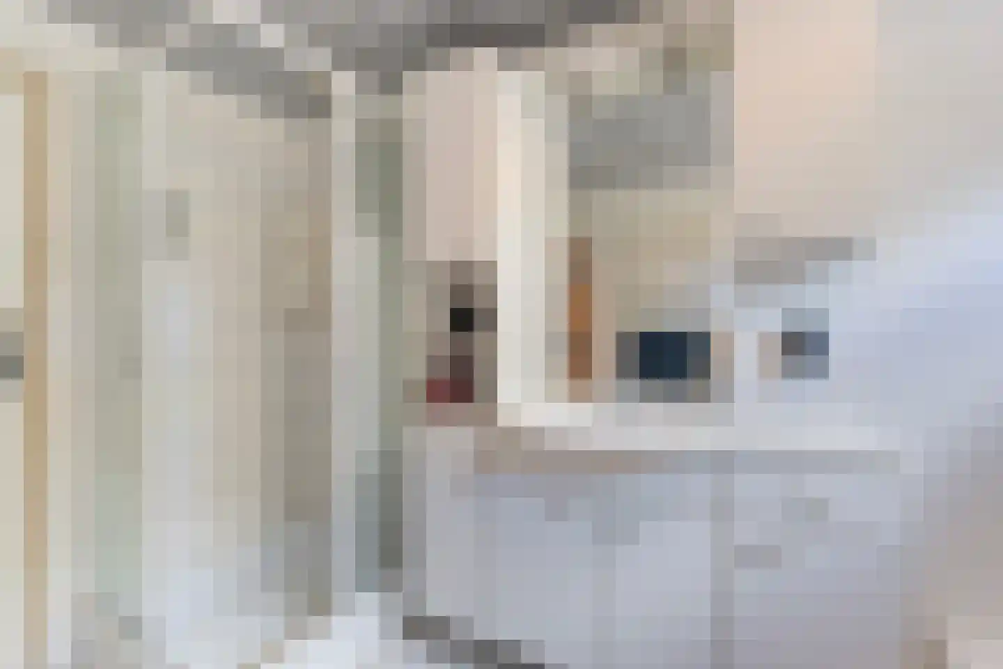 Lytse Buorren 2 Garyp thumbnail 33