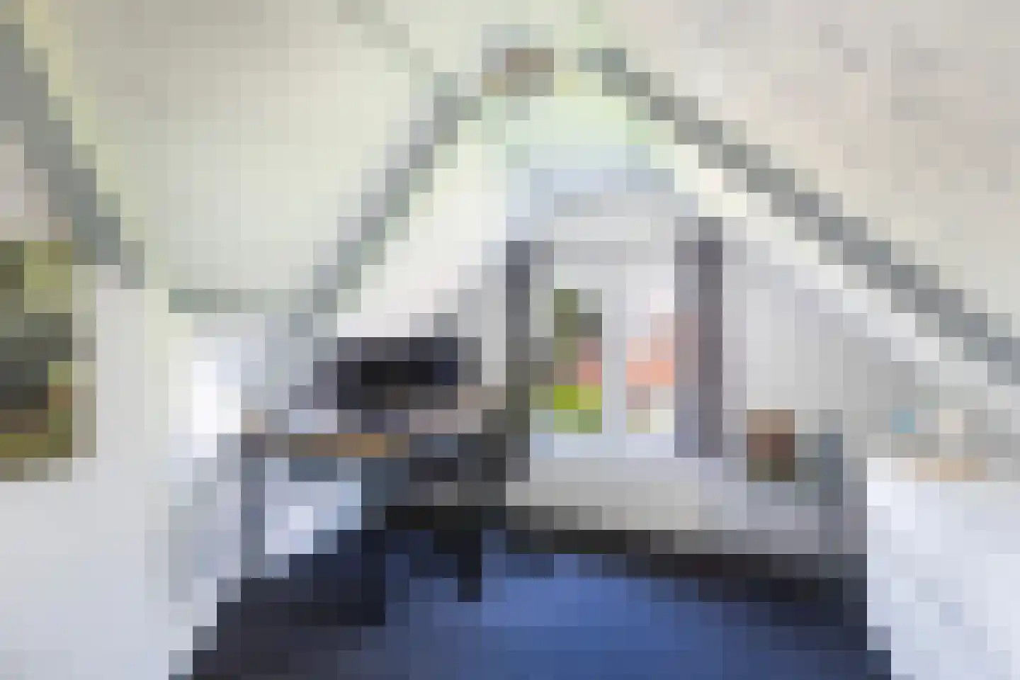 Lytse Buorren 2 Garyp thumbnail 36