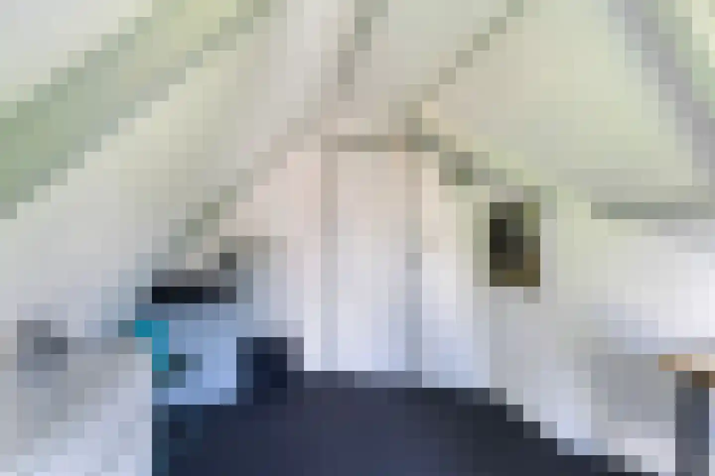 Lytse Buorren 2 Garyp thumbnail 37