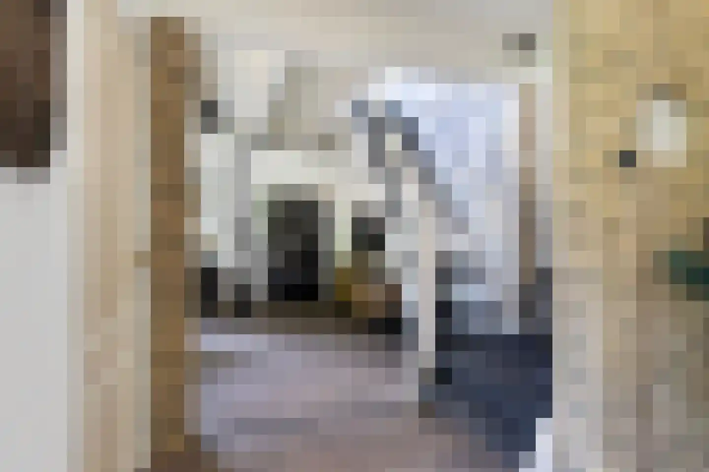 Lytse Buorren 2 Garyp thumbnail 7