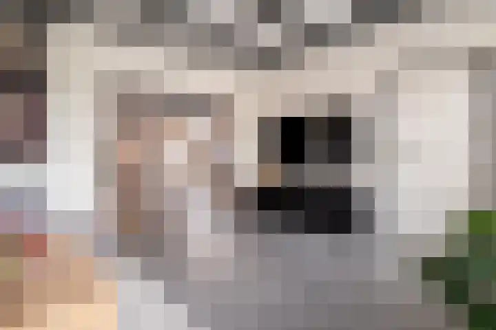 Lytse Buorren 22 Tzummarum thumbnail 12